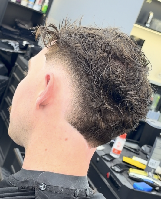 Curly top with low fade